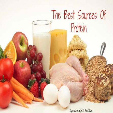 Best Protein SOurces 1A