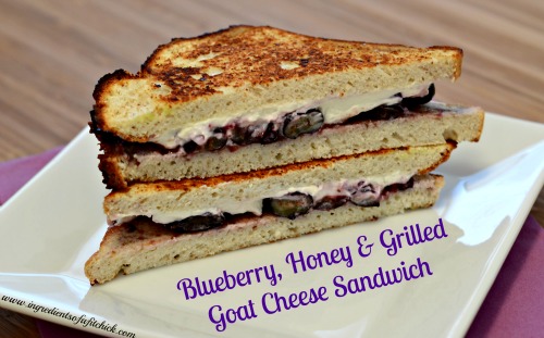 Blueberry Honey Grilled Goat Cheese Sandwich 1