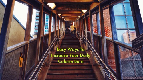 Easy Ways To Increase Your Calorie Burn 1