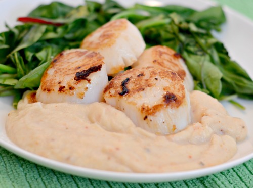 Seared Scallops with Mashed CauliflowerMashed Cauliflower 3