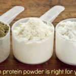 protein powders 1