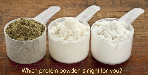 protein powders 1
