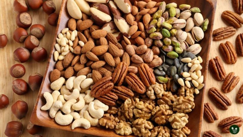 An Extensive Guide to Different Types of Nuts