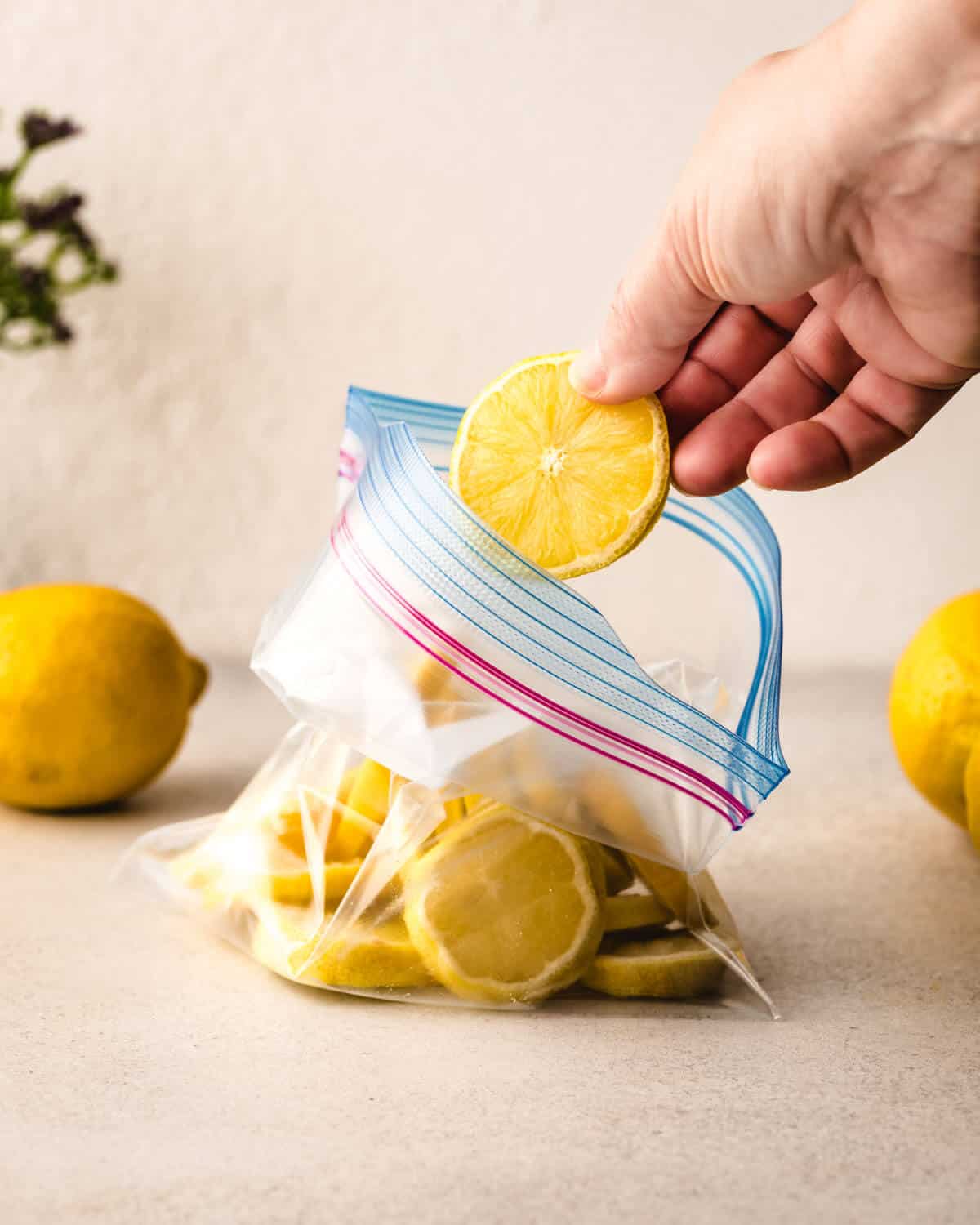 How long do lemons last