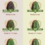 How to tell if avocado is ripe