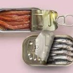 Anchovy vs sardine