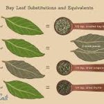 Bay leaf substitute