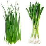 What are chives
