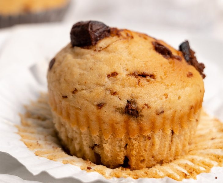 Chocolate chip muffins no milk