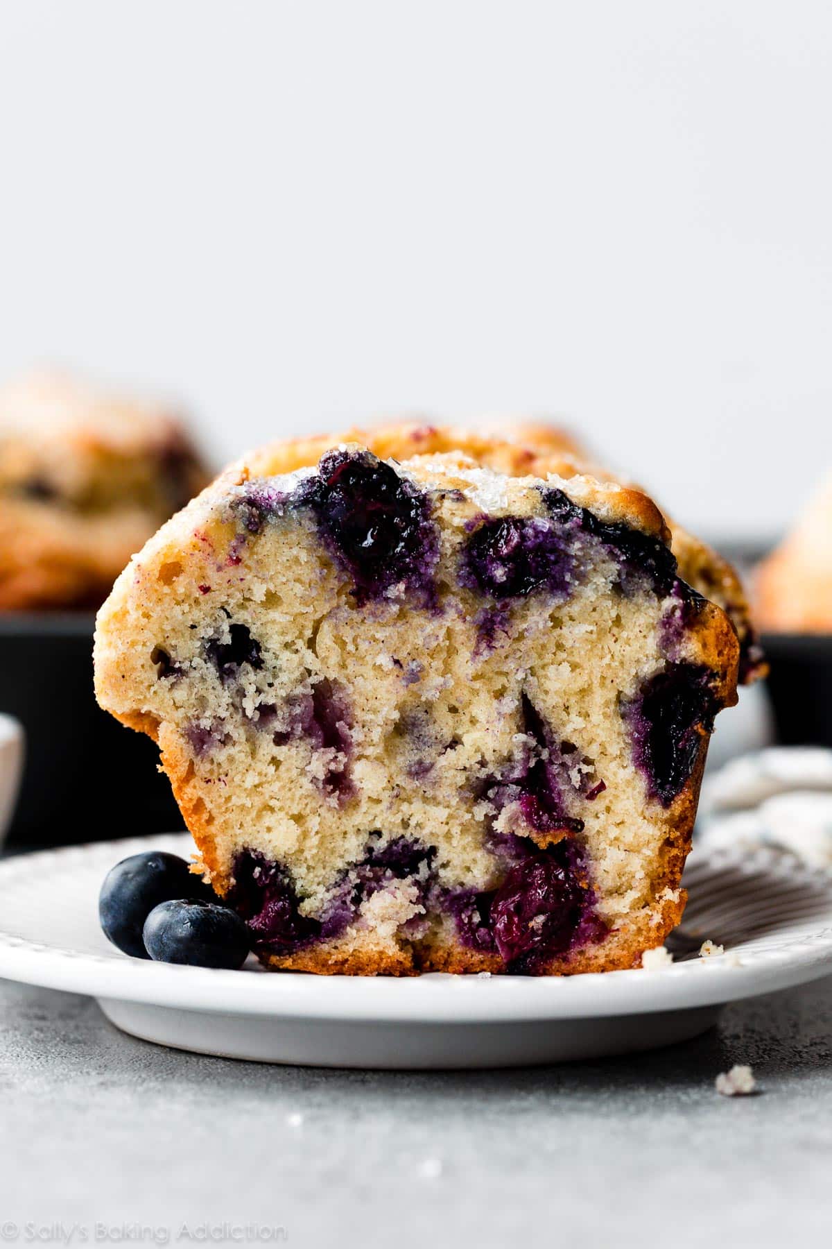 Jumbo buttermilk blueberry muffins