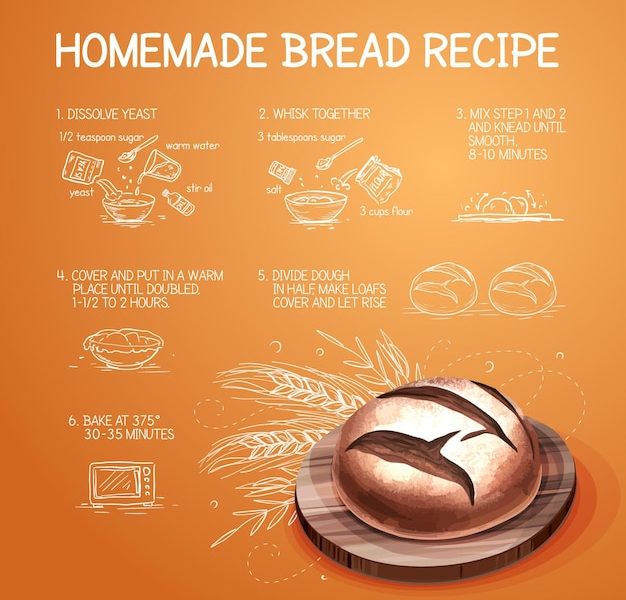 Whole wheat bread recipe